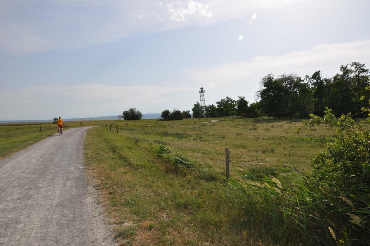 Ferienhaus Resi Illmitz Exteriör bild